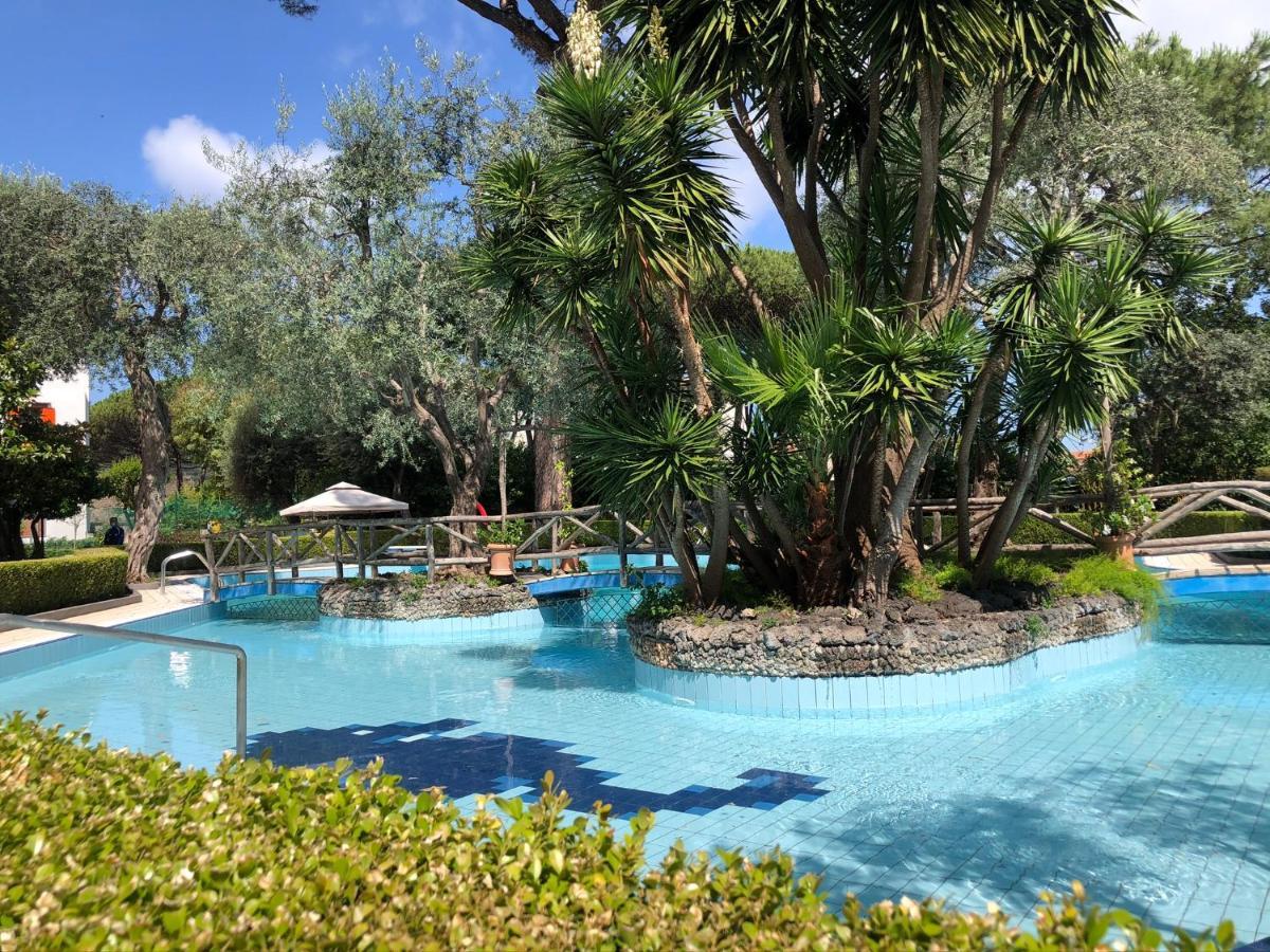 Casa Mami - Luxury Apartment And Pool - Sorrento Luaran gambar